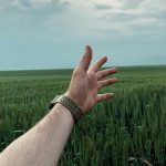 A person's hand reaching towards the sky amidst a sprawling green wheat field.