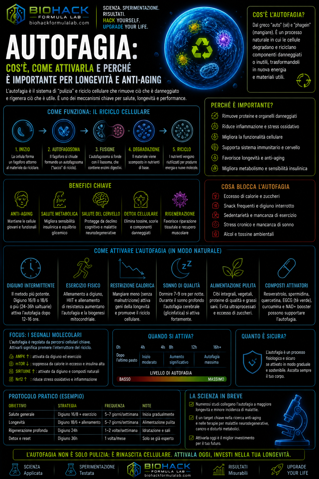 Infografica autofagia con cellula, riciclo cellulare e logo Biohack Formula Lab