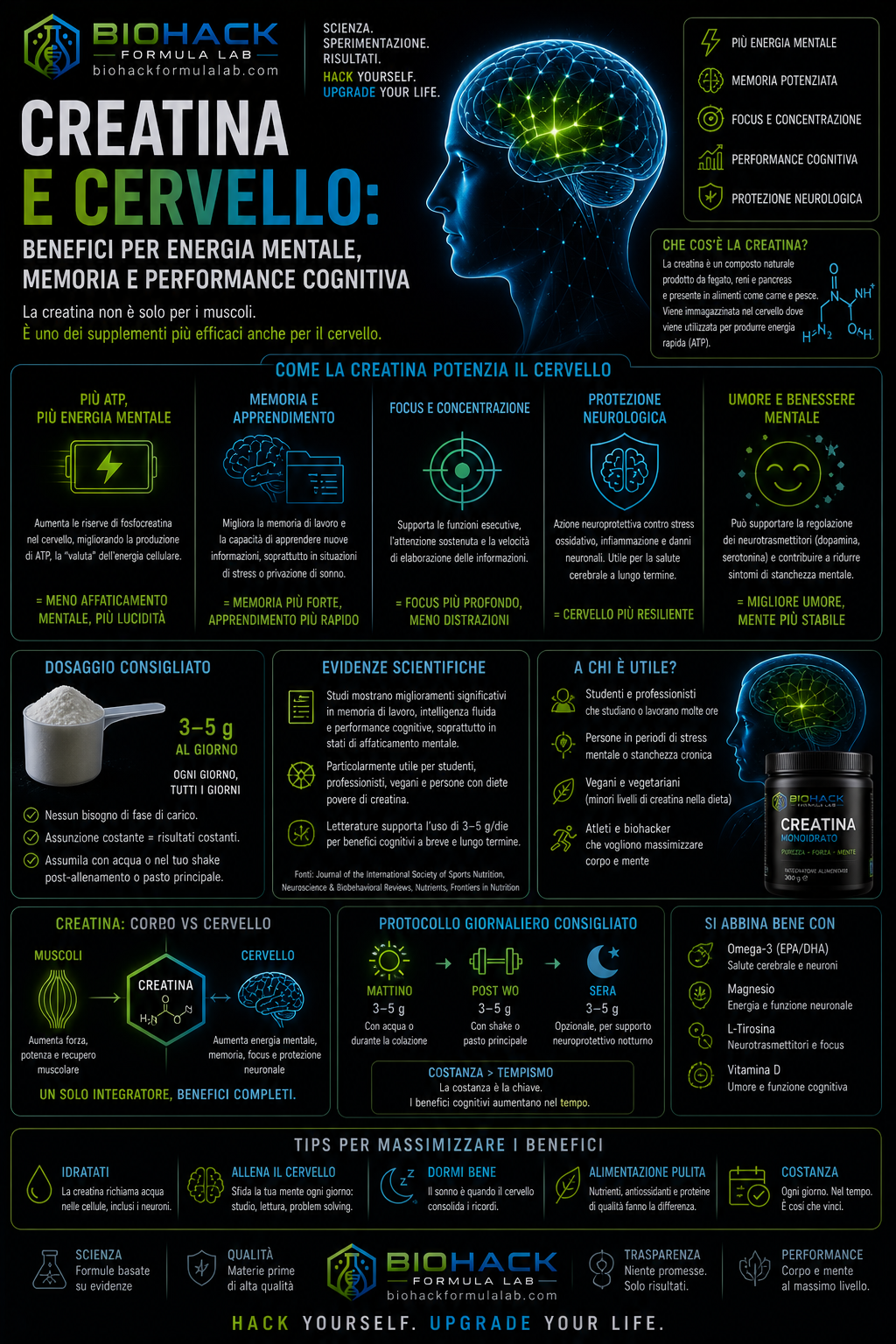 Infografica creatina e cervello con cervello illuminato, integratore e logo Biohack Formula Lab