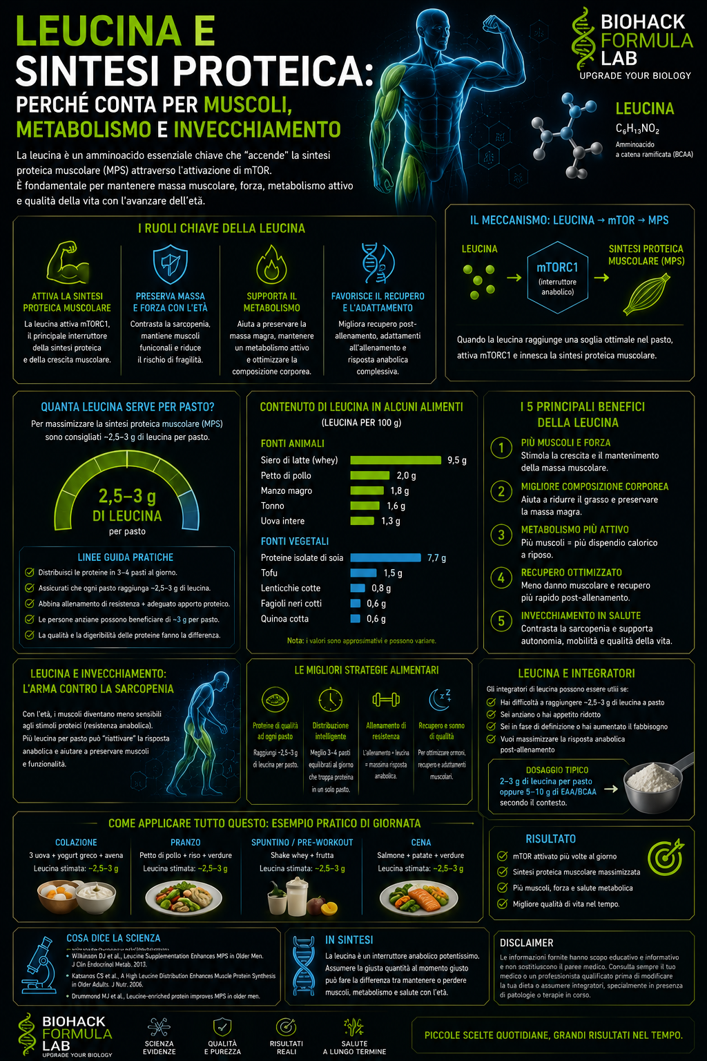 Infografica leucina e sintesi proteica con muscoli, metabolismo, invecchiamento e logo Biohack Formula Lab