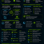 Infografica metabolismo flessibile con grassi, carboidrati, energia stabile e logo Biohack Formula Lab