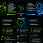 Infografica mTOR e AMPK con equilibrio tra crescita muscolare, energia, longevità e logo Biohack Formula Lab