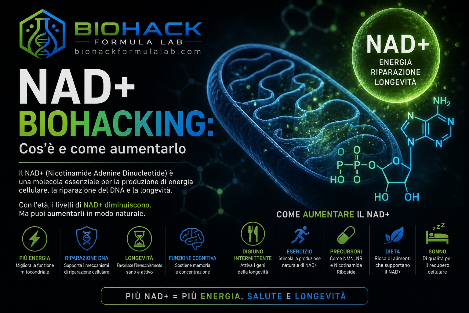 Infografica futuristica sul NAD+ biohacking con mitocondrio luminoso, struttura molecolare e logo Biohack Formula Lab in alto