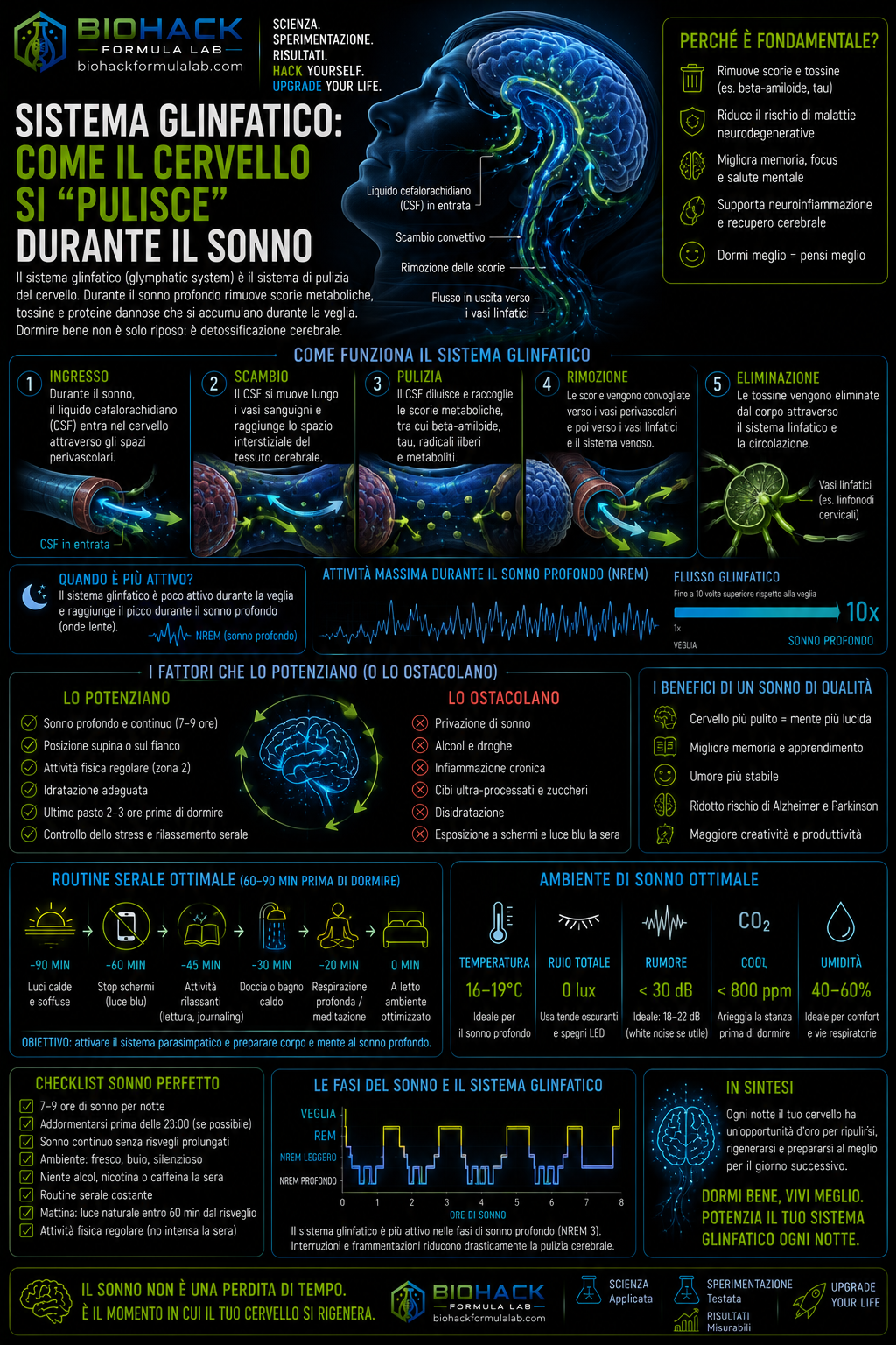 Infografica sistema glinfatico con cervello illuminato e logo Biohack Formula Lab