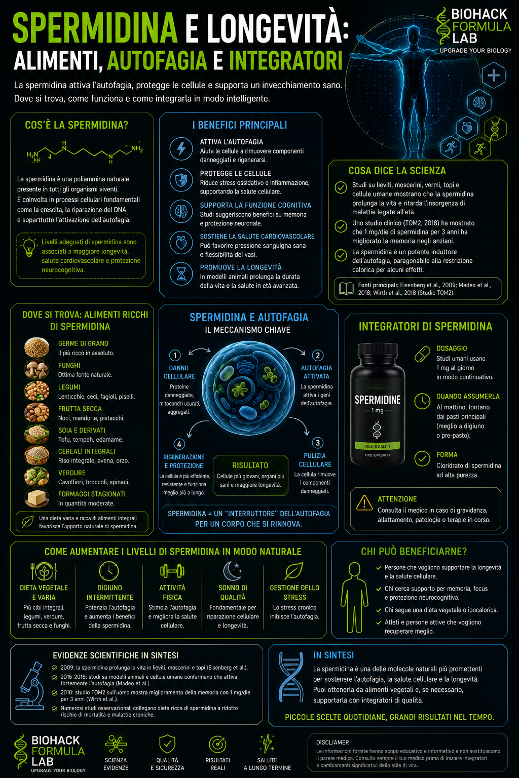 Infografica spermidina e longevità con autofagia, alimenti ricchi di spermidina, integratori e logo Biohack Formula Lab